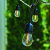 Gardens 12-Count 24FT Rope Lights Edison Bulbs Outdoor String Lights